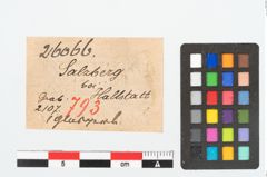 Etikett zu Glasperle (NHMW-PRAE-026066)